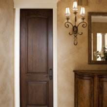 Wenge doors in the interior of the apartment: photos, views, design, combination with furniture, wallpaper, laminate, plinth-8