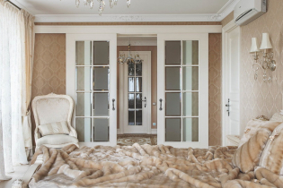 Interior doors with glass: photos, types, designs and drawings, colors, shapes of inserts