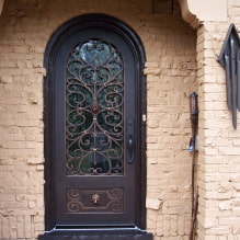 Forged doors: photos, types, design, examples with glass, patterns, drawings-5
