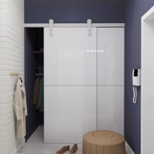 Interior sliding doors: photo, design, types, materials, color, decor -7