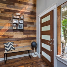 Entrance doors: photo, types of materials, color, interior decoration, design-8