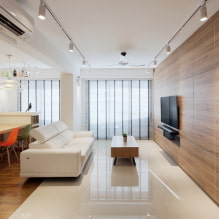 Tiles in the living room: types, photos in the interior, design, colors, layout examples-3