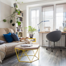 Linoleum for laminate: types, colors, design ideas, pros and cons-3