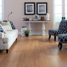 Linoleum for laminate: types, colors, design ideas, pros and cons-8
