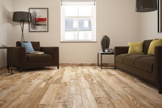 Linoleum for laminate: types, colors, design ideas, pros and cons