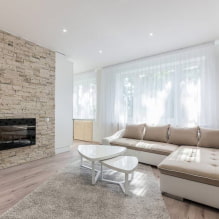 Decorative stone in the interior: finishing options, colors, design, types of imitation, combinations-2