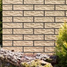 Clinker tiles: applications, photos in the house and apartment, colors, design-2