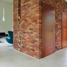 Clinker tiles: applications, photos in the house and apartment, colors, design-3