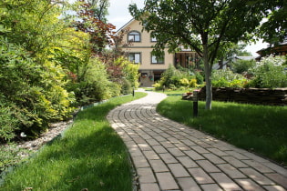 Paving slabs: types, shapes, texture options, colors, patterns and patterns, layout examples