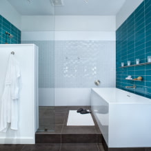 Glass tiles: types, designs, colors, finishes, shapes, examples with mosaics-1