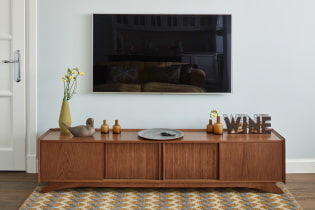 TV stand: types, choice of shape, material, color scheme, design
