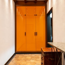 Wardrobe in the hallway and corridor: types, internal content, location, color, design-3