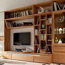 Wall in the living room (hall): design, types, materials, colors, placement and filling options-0