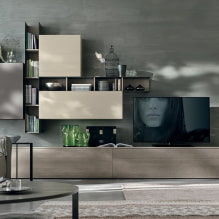 Wall in the living room (hall): design, types, materials, colors, placement and filling options-3