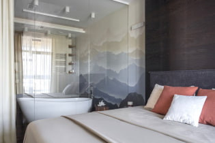 Bathroom in the bedroom: pros and cons, photo in the interior