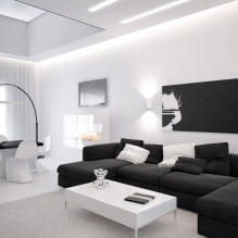 Black and white living room: design features, real examples in the interior-2