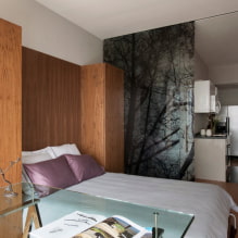 How to make a sleeping place in the kitchen? Photos, the best ideas for a small room. -0