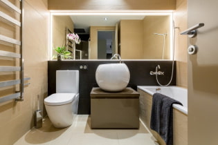 Bathroom interior combined with toilet