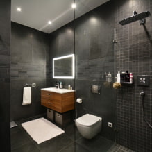 Bathroom interior combined with toilet-1