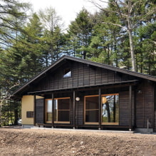 Scandinavian-style country house: features, photo examples-1