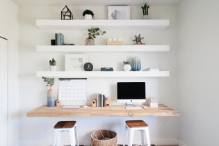 Shelves on the wall: photos, views, original design ideas