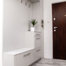 Hallway for a narrow corridor: photo review of modern models in the interior-3