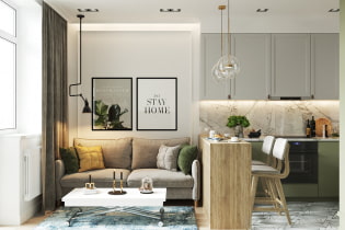 Small kitchen-living room: photo in the interior, layout and design
