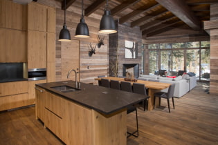 Tips for decorating the kitchen-living room interior in a private house