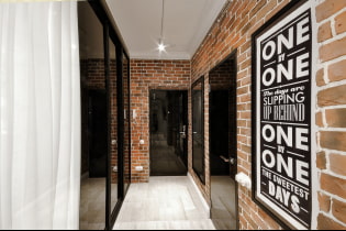 Loft-style hallway design: photo in the interior