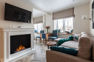 Living room interior with fireplace: photos of the best solutions