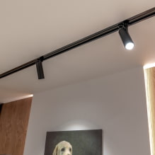 Spots in the interior: how to choose, current design (35 photos) -8