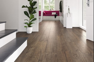 What is better to choose a laminate or parquet board?