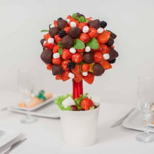 How to make a topiary with your own hands? -0