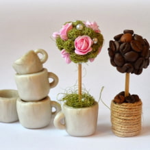 How to make a topiary with your own hands? -2