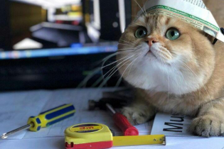 10 most common mistakes when renovating an apartment