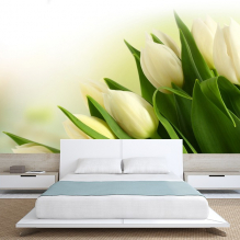 Photo wallpaper in the bedroom - a selection of ideas in the interior-3