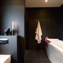Black bathroom: photos and design secrets-7