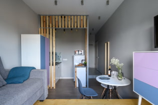 Completed project of a very small studio 18 sq m