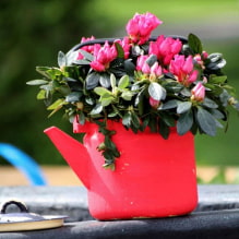 How to make flower pots with your own hands? 9 master classes-4