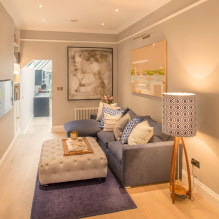 How to arrange a narrow living room correctly? -0