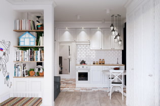 Stylish studio 28 sq m with an office and a nursery