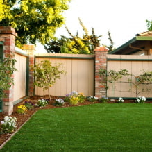 What is better to plant along the fence on the site? -1
