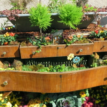 How to arrange a multi-tiered flower bed in a summer cottage? -3