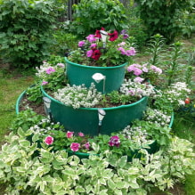 How to arrange a multi-tiered flower bed in a summer cottage? -5