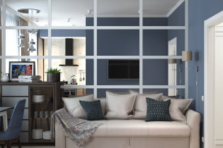 Stylish one-room apartment in St. Petersburg with a kitchen-living room and a bedroom