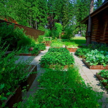 Landscaping of a suburban area on 6 ares-1