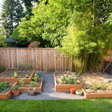 Landscaping of a summer cottage on 6 ares-0