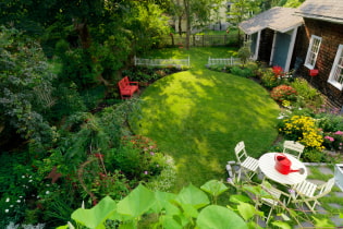 Landscaping of a summer cottage on 6 acres