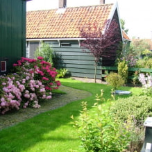 How to arrange the landscape design of a suburban area of ​​4 ares? -5