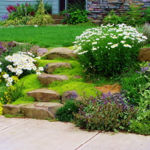 All about the improvement of the site on the slope-2